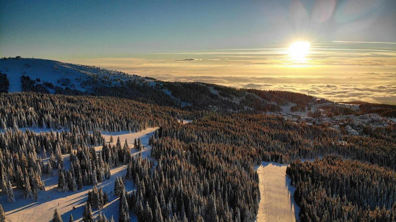 Ski & Spa Apartment S20 Milmari Resort Kopaonik Zewnętrze zdjęcie